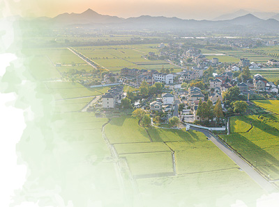 集体经济（人民眼·乡村全面振兴）不朽情缘app经理人如何盘活农村(图3)