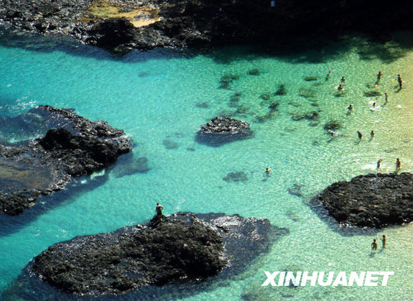 南多—迪诺罗尼亚岛不朽情缘美丽的费尔