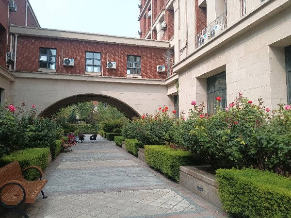 悦年华颐养中心（北京瀛海）服务项目全攻略详解不朽情缘网站2026最新北京退休养老认知照护(图17)